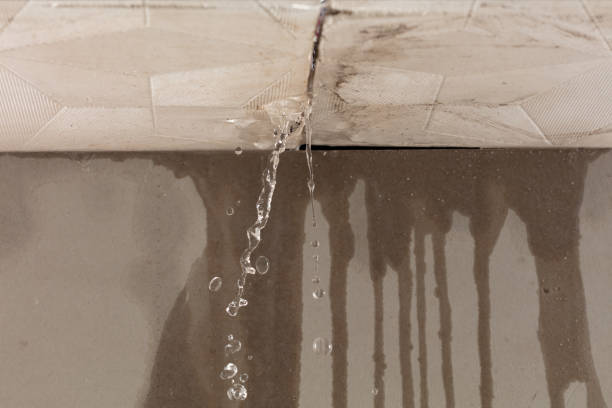 Professional Burst Pipe Cleanup technician working in Wikieup, AZ